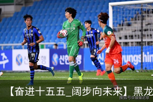 【奋进十五五 阔步向未来】黑龙江农机产业正加速迈向高端化智能化绿色化